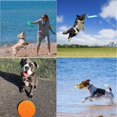 thumbnail image 5 of Juguete para perros Frisbee brillar 2 discos naranja + verde 18 cm, 5 of 5
