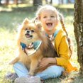 thumbnail image 5 of Easter Breathable Chiffon Dog Bandanas Pack of Two - Translucent Pet Collars 16x16x22.8in and 20.9x20.9x30in Sizes, 5 of 5