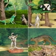 thumbnail image 3 of Juego de figuras de animales Toymany Madagascar, 12 piezas, con diseño realista, 3 of 9