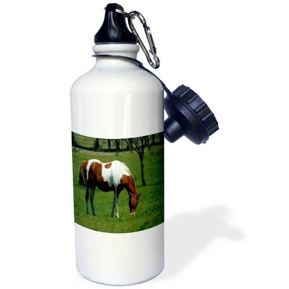 3dRose, Grazing Pinto Pretty Horse, Flip Straw 21oz Water Bottle