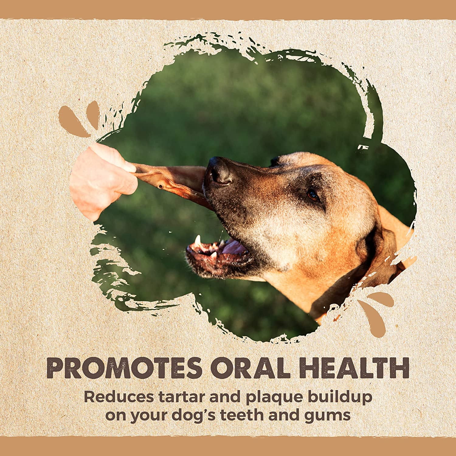 Mighty Paw Half Pig Ears for Dogs, All Natural Dried Single Ingredient Dog Treats (12 Pack)