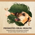 thumbnail image 6 of Mighty Paw Half Pig Ears for Dogs, All Natural Dried Single Ingredient Dog Treats (12 Pack), 6 of 9