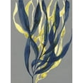 thumbnail image 2 of Goldberger, Jennifer 19x24 White Modern Wood Framed Museum Art Print Titled - Kelp Embrace I, 2 of 4