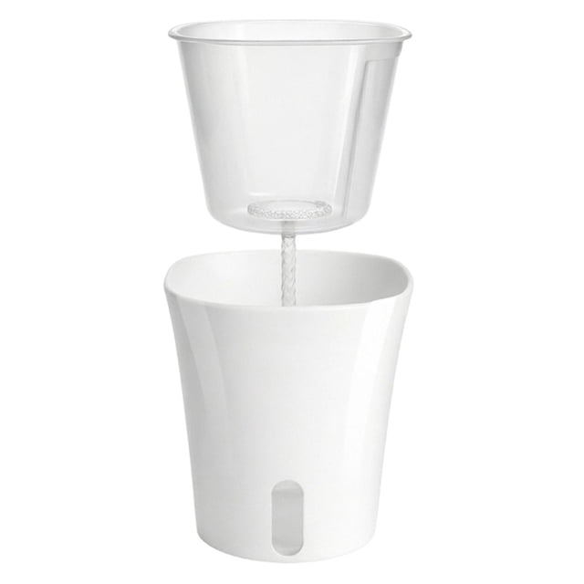 Lazy Person's Self Watering Water Storage Aquatic Green