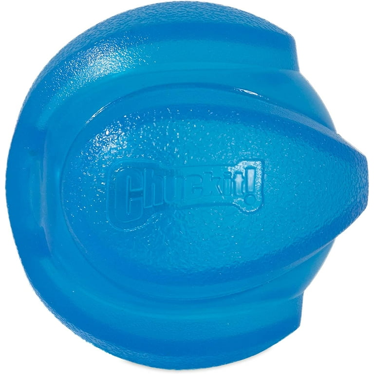 Chuckit frisbee large hot sale