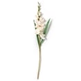 thumbnail image 3 of 12 Pack: White Gladiolus Stem by Ashland, 3 of 4