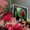 thumbnail image 3 of 3dRose, Red and Black Spotted Lady Bug on green leaf., 6 Greeting Cards with envelopes, 3 of 7
