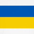 thumbnail image 3 of CafePress - Ukraine Flag T Shirt - 100% Cotton Ringed T-Shirt, 3 of 4