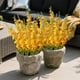 thumbnail image 5 of Simulation Morning Glorys Plastic Flowers Simulation Flower Bouquet Outdoor Holiday Decoration Home Garden Artificial Flower, 5 of 6