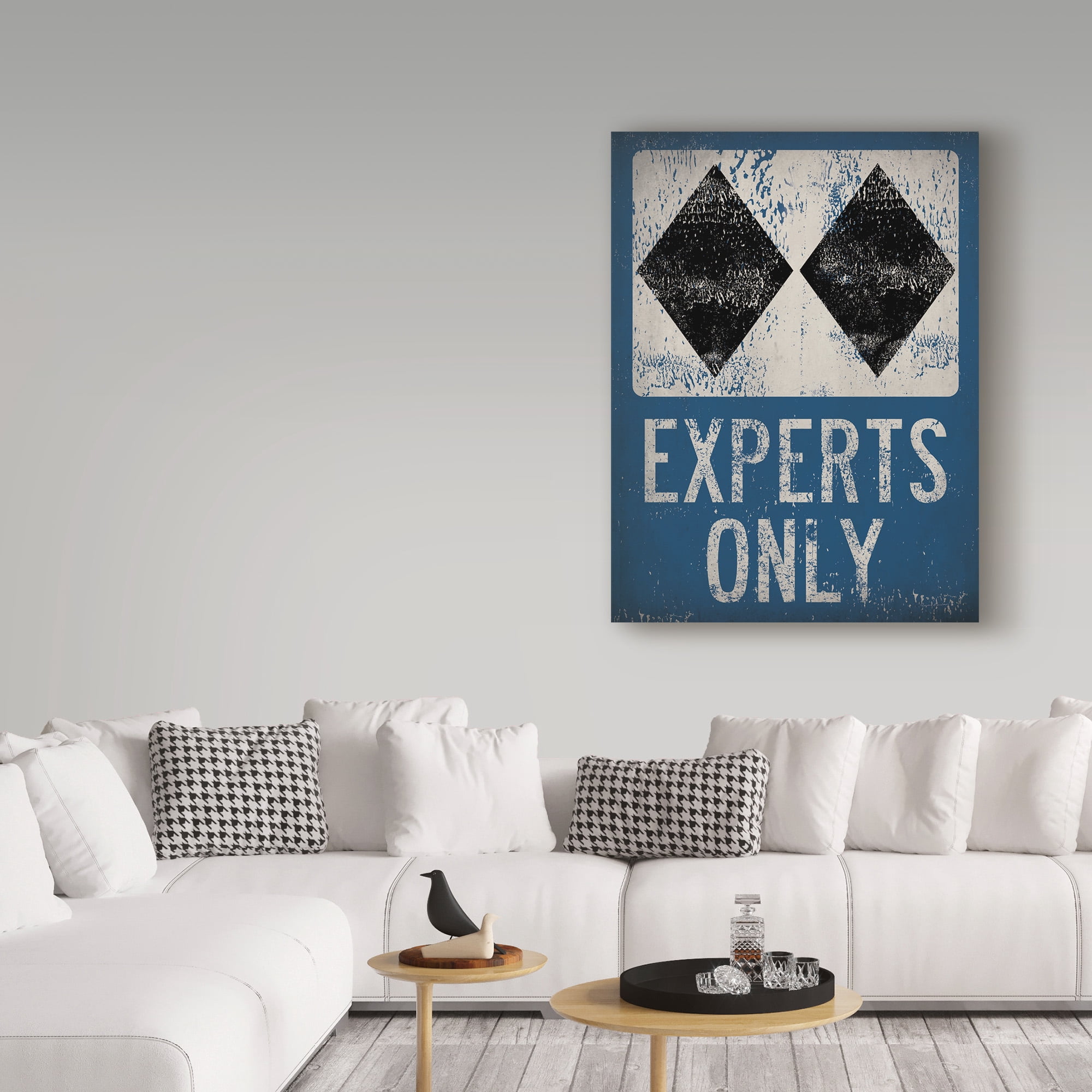 Trademark Fine Art 'Experts Only Blue' Canvas Art by Ryan Fowler