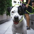 thumbnail image 4 of Pet Collars Dog Training Leash With P Ring Control Reflective Design for Obedience Training, 4 of 5