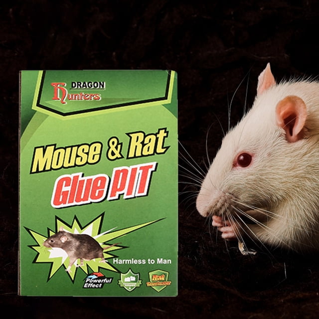 Mouse Catcher no tóxico plegable para herramienta doméstica para matar roedores (mediano)