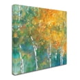 thumbnail image 2 of Trademark Fine Art 'Confetti II' Canvas Art by Julia Purinton, 2 of 3