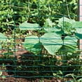 thumbnail image 4 of 28in H x 50ft L Green Vinyl Rabbit Guard, 4 of 4
