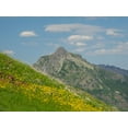 thumbnail image 2 of Wild, Jamie and Judy 18x15 Gold Ornate Wood Framed with Double Matting Museum Art Print Titled - Washington State-Central Cascades-Rampart Ridge-Alta Mountain and wildflowers, 2 of 4