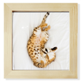 thumbnail image 1 of animal ocelot cat photograph Square Picture Frame Wall Tabletop Display, 1 of 3