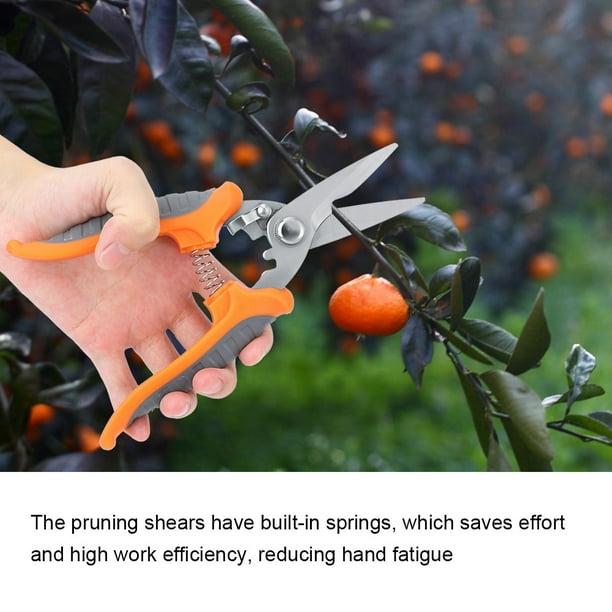 Plant pruner 2024