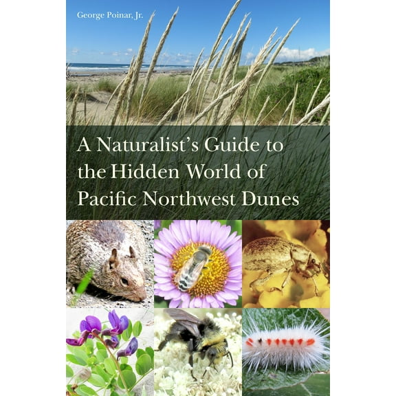 A Naturalist's Guide to the Hidden World of Pacific Northwest Dunes (Paperback)