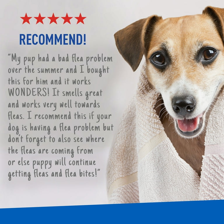 Adams Plus Flea Tick Shampoo with Precor for Dogs Puppies over 12 Weeks of Age 24 oz Walmart