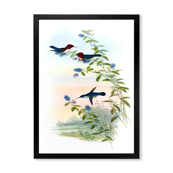 Designart 'Ancient Hummingbird II' Traditional Framed Art Print