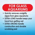 API Algae Scraper For Glass Aquariums, 1Count