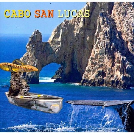 Cabo Card Game Cabo Card Game
