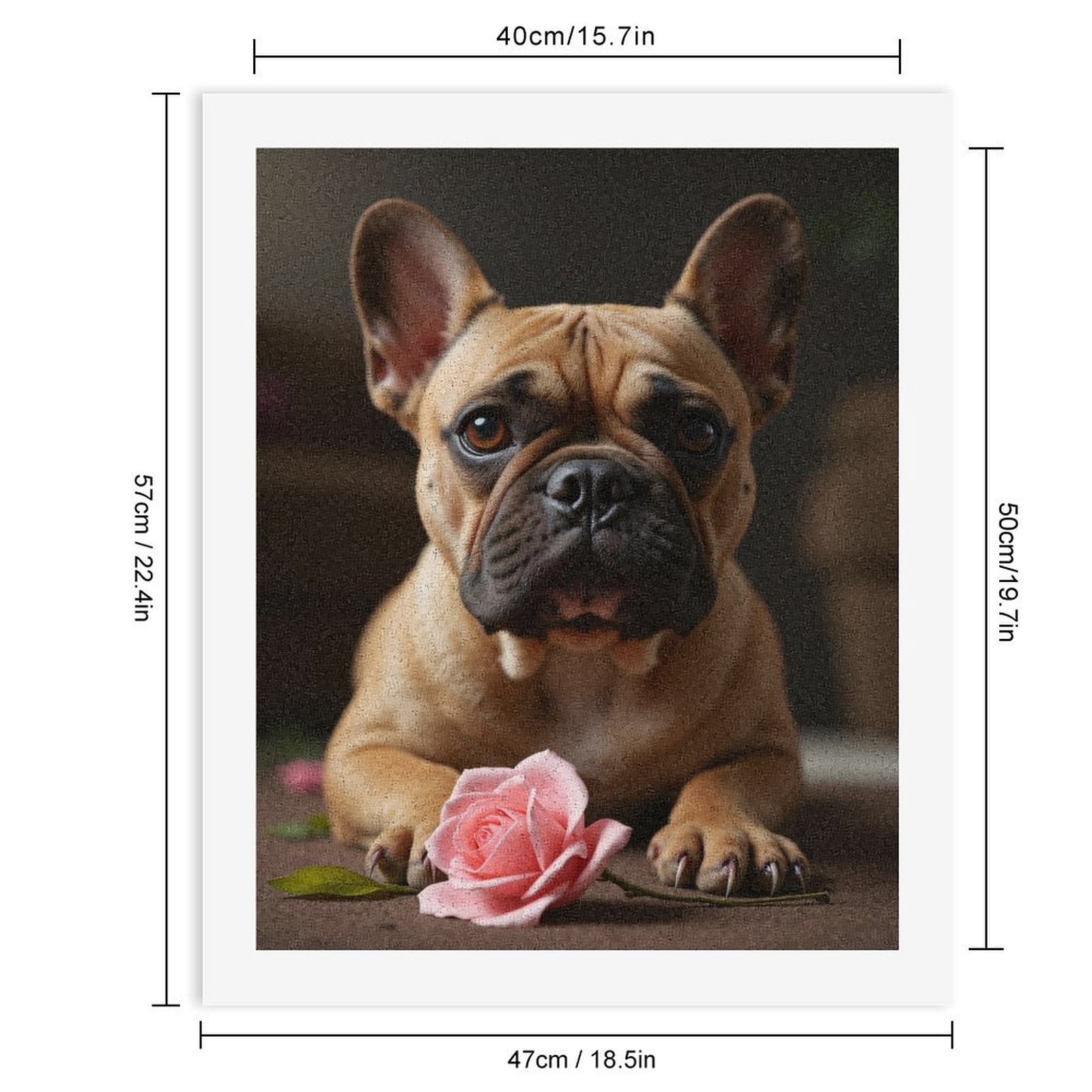 Paint by Numbers Kit for Adults, French Bulldog Pink Rose Paint by Numbers, Easy Paint by Numbers Kit for Adults Beginner, DIY Adult Paint by Number Kits on Canvas, Home Decor