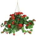 thumbnail image 2 of Nearly Natural 24" Geranium Hanging Basket Artificial Plant, Red and Green, 2 of 7