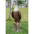 thumbnail image 5 of Hi-Line Gifts 26.75" Bald Eagle on Stump Outdoor Garden Statue, 5 of 5