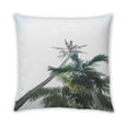 thumbnail image 2 of Ahgly Coussin d'Extérieur Plants Palm Tree, 18 Pouces par 18 Pouces, 2 of 6
