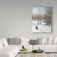 thumbnail image 3 of Trademark Fine Art 'Winter Rabbit' Canvas Art by Carol J Rupp, 3 of 3