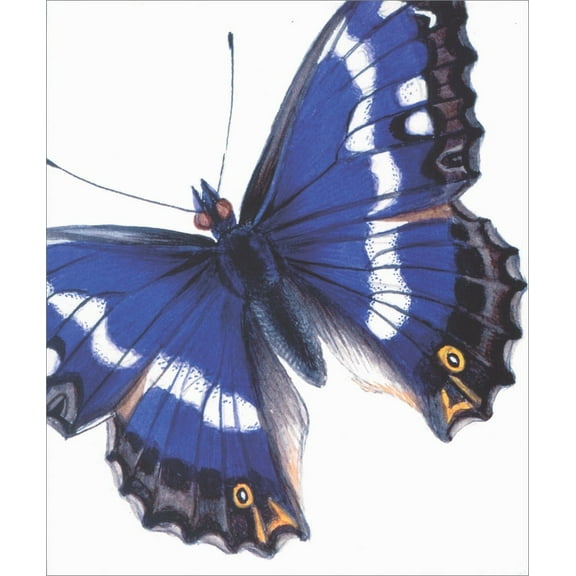 Archivist Purple Emperor Butterfly Blank Note Card