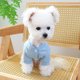 thumbnail image 5 of Vestido de perro falda de perro ropa de perro para perros pequeños niña gatito trajes para niña gatos vestido para gatos ropa para mascotas ropa de perro ropa de lujo, 5 of 5