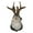 2PCS, variant on Jackalope Decor, Resin Hanging Wall Art Antler Rabbit Head Wall Decor, Simulation Rabbit Specimen Resin Art Ornaments for Home/Office (2PCS)