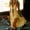 c01Yellow, variant on LNWUY Womens Summer Dresses Deep V Spaghetti Strap Dresses Split Ruffle Short Sundresses Elegant Night Party Dress Trendy Yellow XXXL