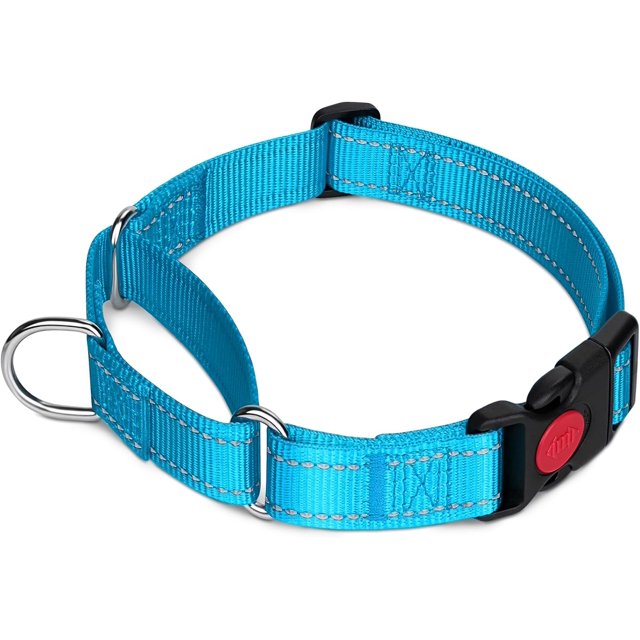 HAHDAXIA Collier Martingale pour Chiens avec Boucle à Dégagement Rapide, Collier Réfléchissant Robuste pour Chiot pour la Sécurité, Colliers en Nylon Ajustables pour Chiens de Petite, Moyenne et Grande Race pour la Marche et l'Entraînement, Ciel