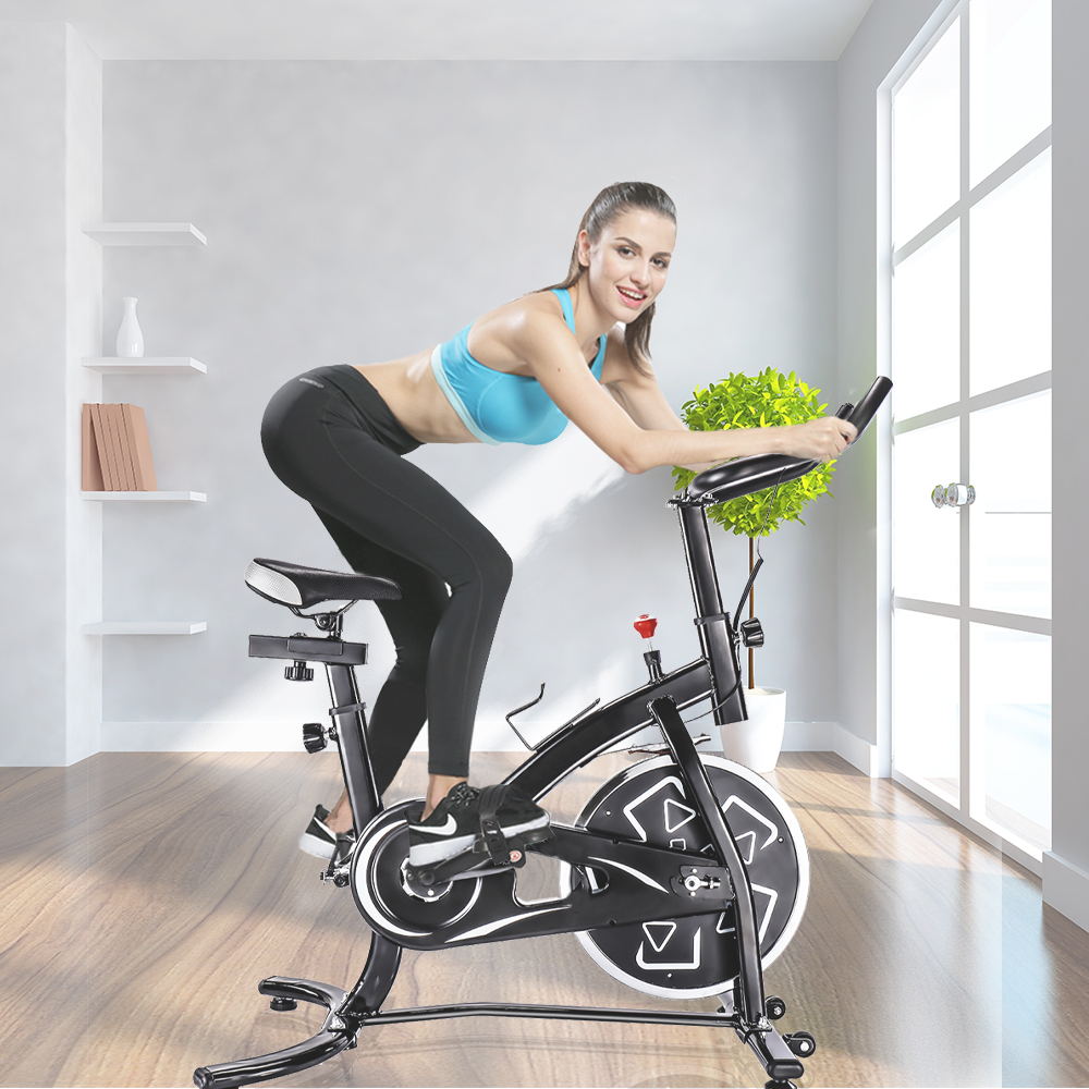 Stationary Bike Exercise Bike, Indoor Cycling Bikes with LED Display