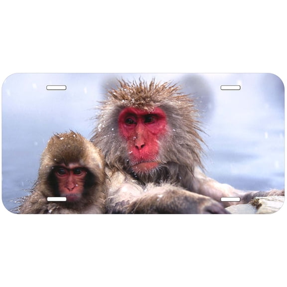 Monkey TAG13 Novelty Car Auto License Plate