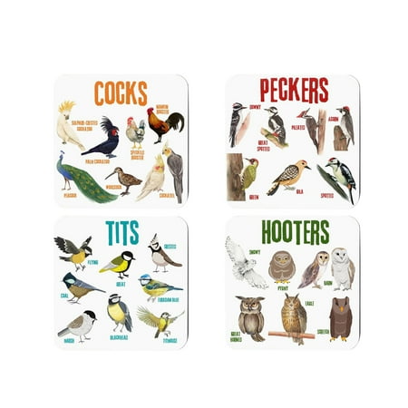 

Clearance! New Acrylic Puns Bird A Set Of Four Bird And Animal