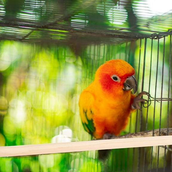 Baluue Parrot Perch Multi 4Set Wood Bird Sticks For Cage