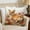 16#, variant on Cute Embroidery Decorative Throw Pillow Cover, 3D Effect Short Lint Pillowcase for Sofa Bedroom Living Room Home Decor Accent Cushion Cover