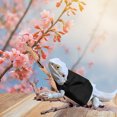 thumbnail image 5 of LOLIPPYY Lizard Clothes for Bearded Dragons Reptile Small Clothes Outdoor Warm Clothing Lizard Accessory, 5 of 7