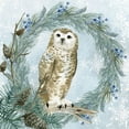 thumbnail image 2 of Allen, Kimberly 20x20 White Modern Wood Framed Museum Art Print Titled - Winter Owl 3, 2 of 4