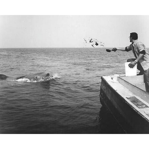 Jaws Roy Scheider throws out chum to shark in water 24x36 inch wall art poster