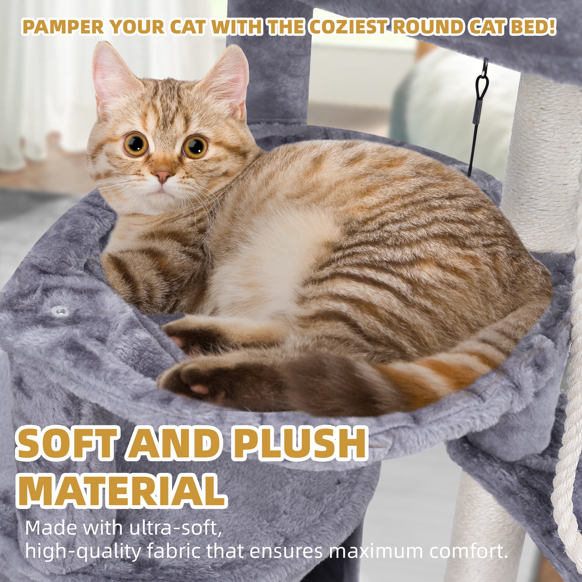 Shamrock ★ Cat  81tvGFl9ONL._AC_UF350,