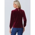 thumbnail image 3 of DARING DIVA Women's Stand Collar Elegant Velvet Long Sleeve Tops XS Burgundy, 3 of 6