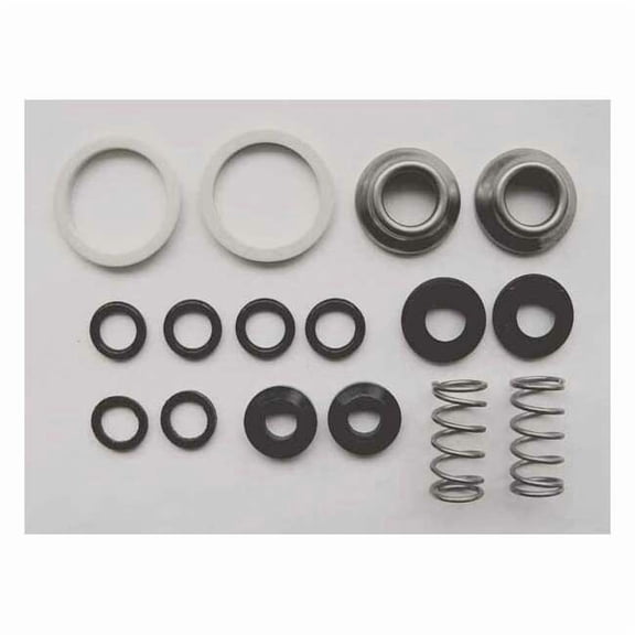 Cartridge Repair Kit, Brass, Elastomers 849-DAB