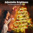 thumbnail image 5 of Lumières de Noël Alimentées par Photocellule Programmable, 5 of 5