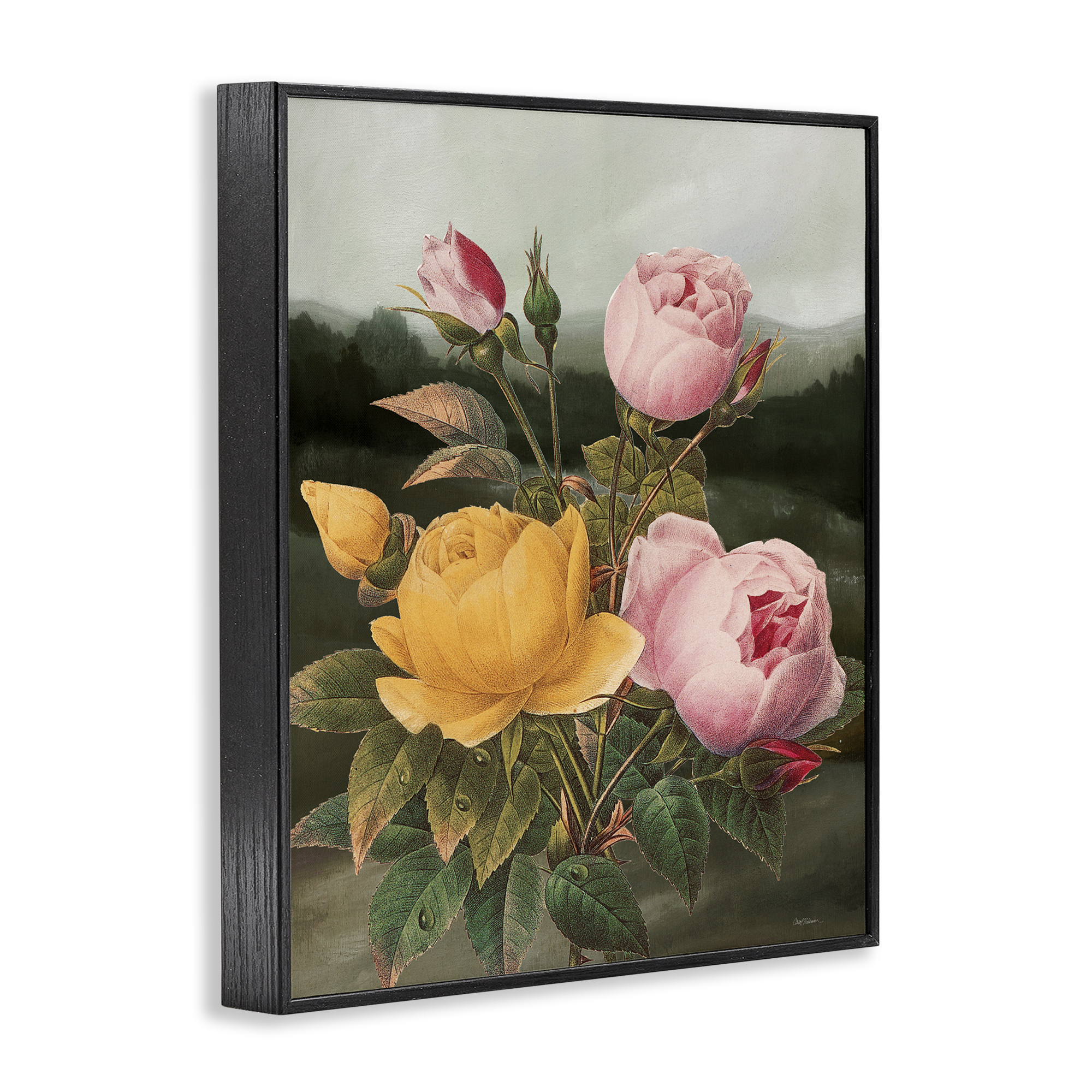 Stupell Industries Vintage Peony Blooms Botanical & Floral Painting Black Framed Art Print Wall Art, 11 x 14
