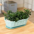 thumbnail image 3 of Joernso 5Pcs Flowerpot Eco-friendly Anti-deform Plastic Rectangle Flower Planter Supplies for Home, 3 of 8